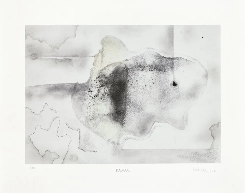 Многоэкземплярное Произведение Richter - Pamul