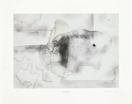 Многоэкземплярное Произведение Richter - Pamul