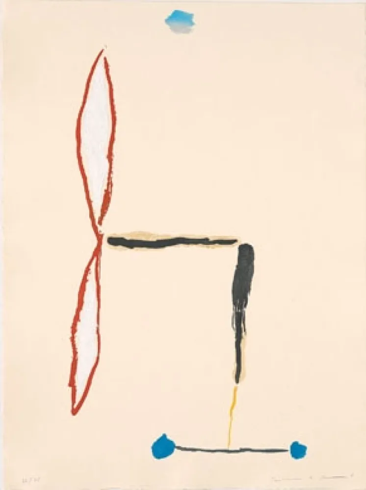 Гравюра Riera I Aragó - Avió Angle 