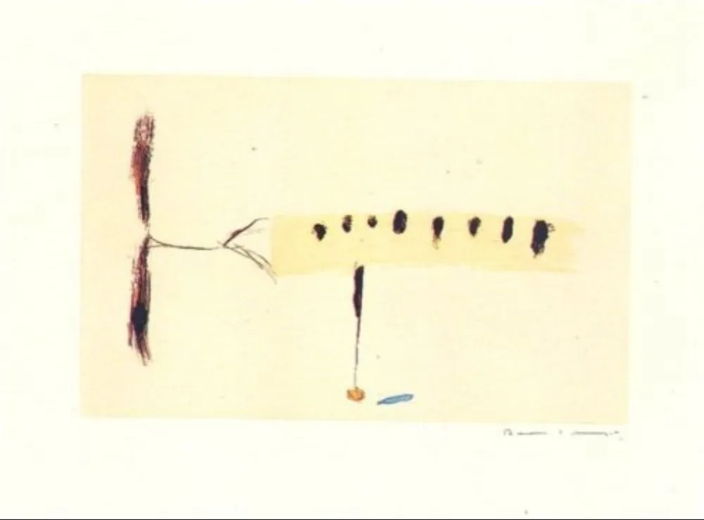 Гравюра Riera I Aragó - Avió mig-4