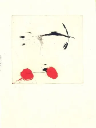 Гравюра Riera I Aragó - Avió petit rodes vermelles