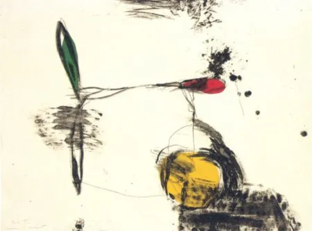 Гравюра Riera I Aragó - Avió roda groga