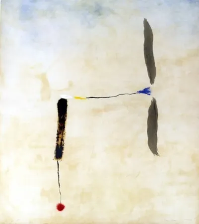 Гравюра Riera I Aragó - Avió roda vermella