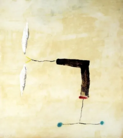 Гравюра Riera I Aragó - Avió rodes blaves