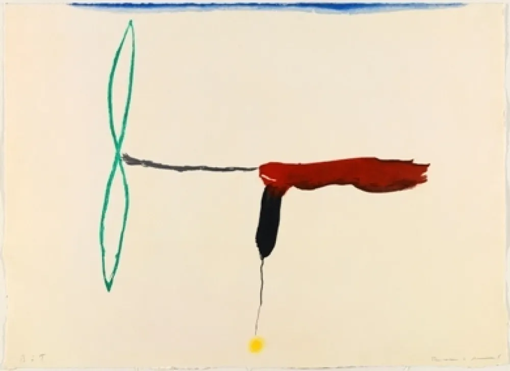 Гравюра Riera I Aragó - Avión hélice verde