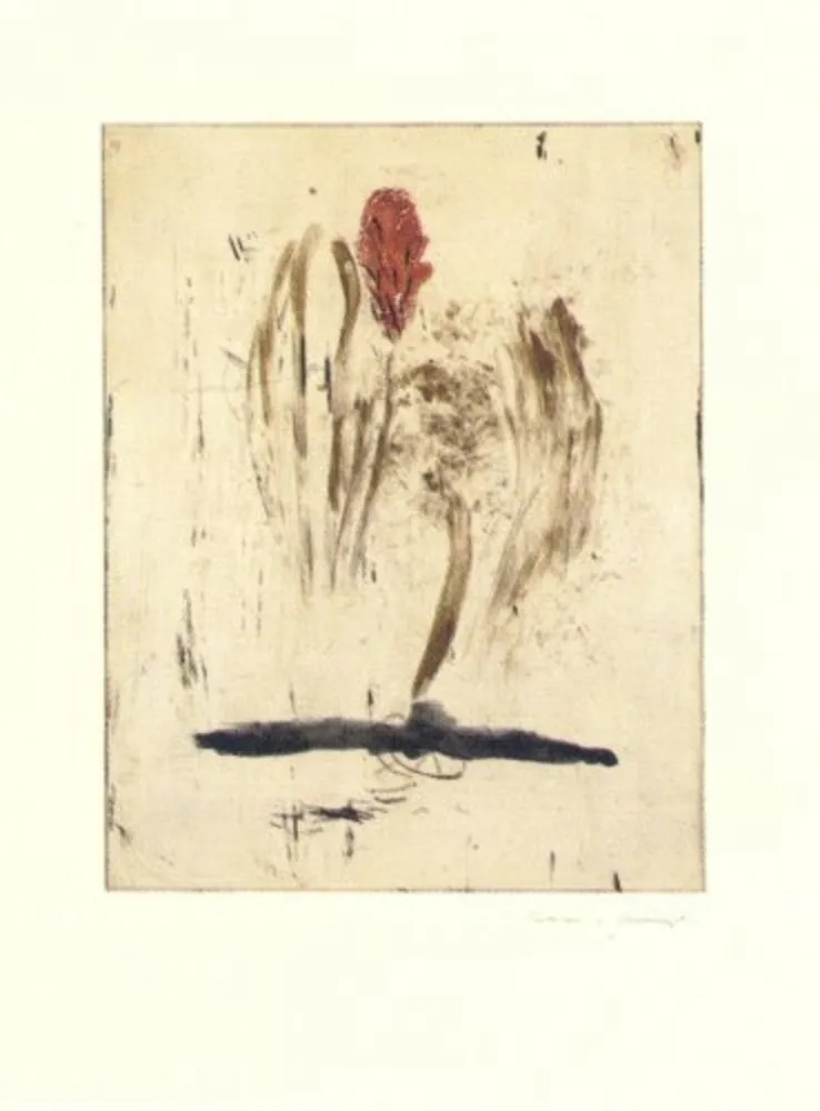 Гравюра Riera I Aragó - Submarí i ala