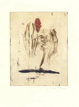 Гравюра Riera I Aragó - Submarí i ala