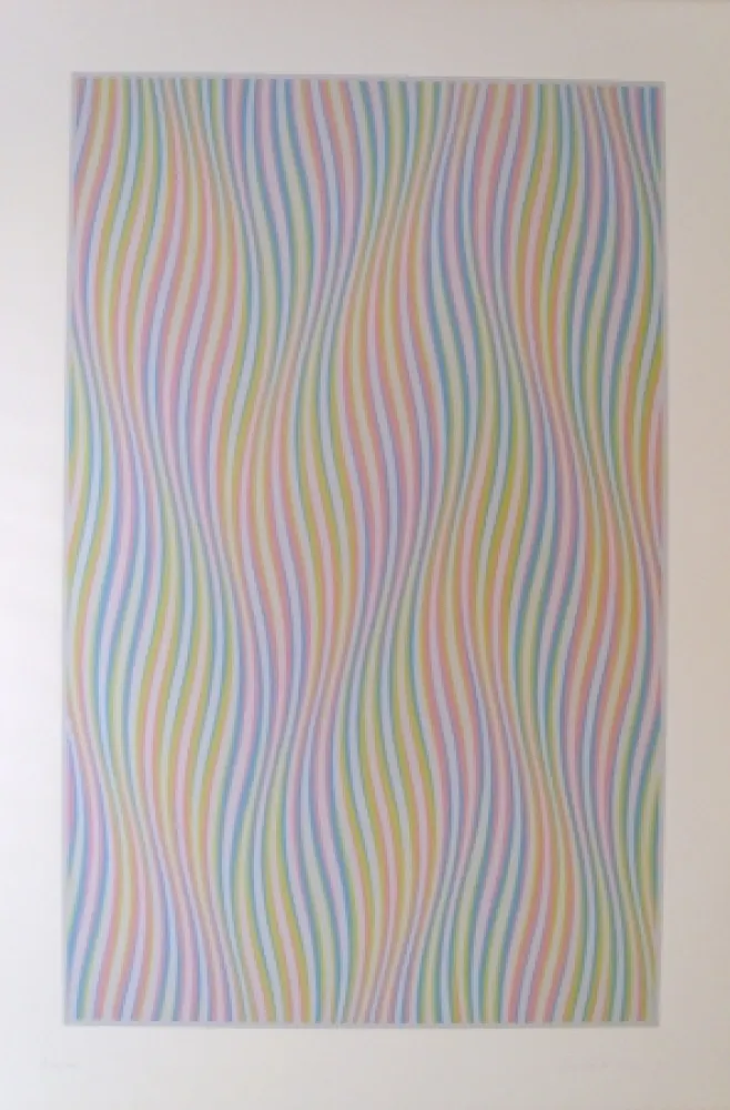 Сериграфия Riley - Elapse