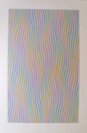 Сериграфия Riley - Elapse