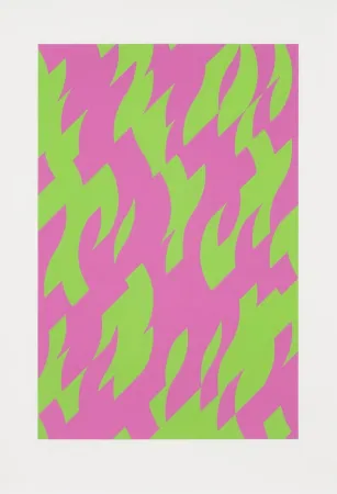 Сериграфия Riley - Magenta and Green