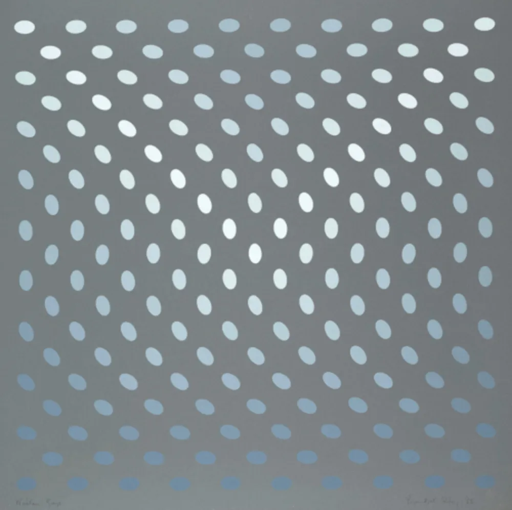 Сериграфия Riley - Nineteen Greys A