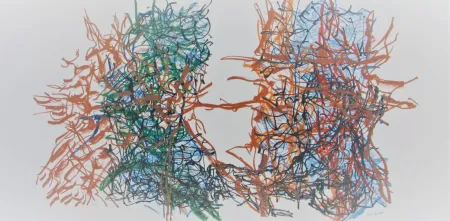 Литография Riopelle - Album #7 Cat. No. 221