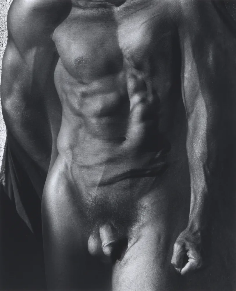 Фотографии Ritts - Male Torso with Veil (Tight), Silverlake