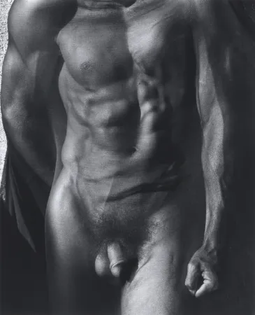Фотографии Ritts - Male Torso with Veil (Tight), Silverlake