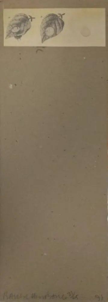 Многоэкземплярное Произведение Robert - Shirtboards Morocco, Italy