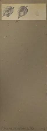 Многоэкземплярное Произведение Robert - Shirtboards Morocco, Italy