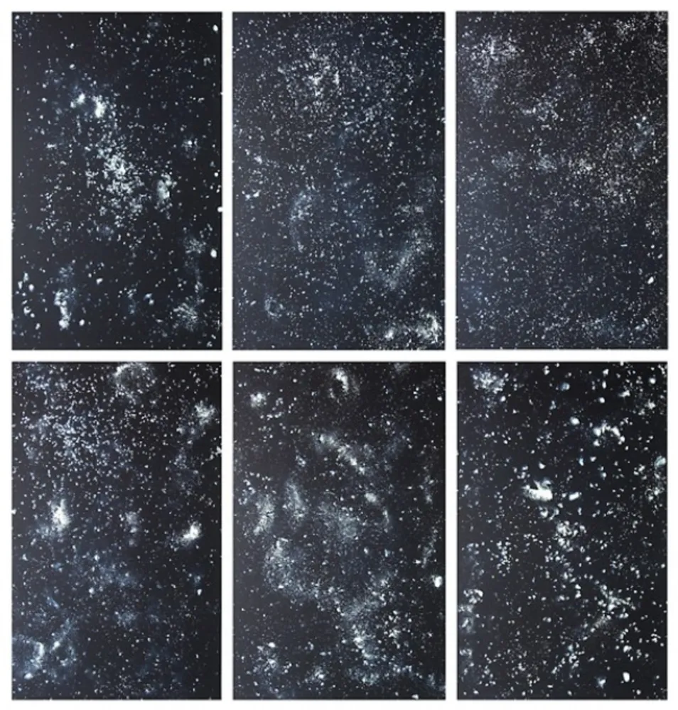 Литография Rondinone - Stars, portfolio