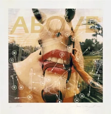 Литография Rosenquist - Above