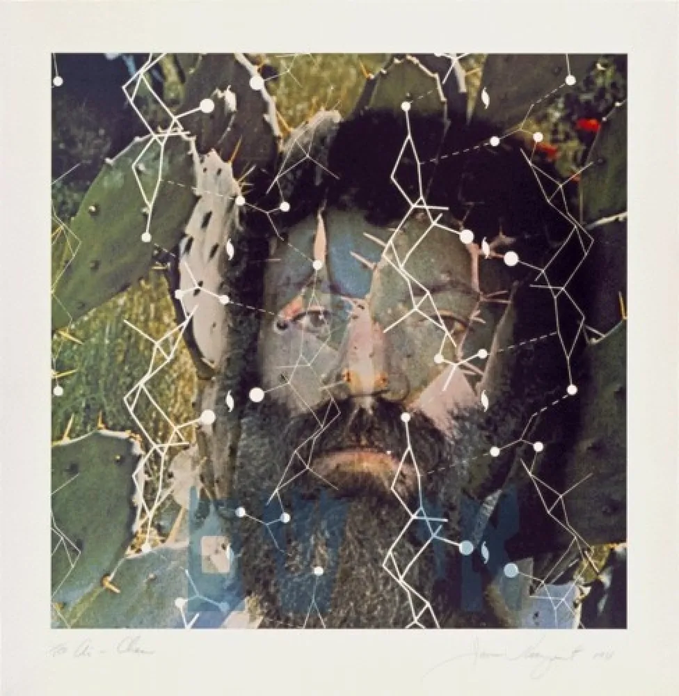 Литография Rosenquist - The