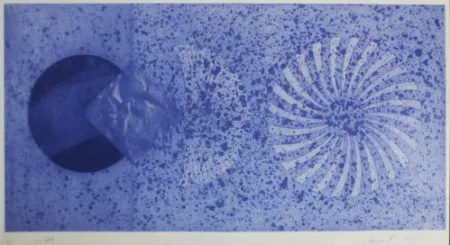 Офорт И Аквитанта Rosenquist - The Book Disappears for the Fast Student 2nd State