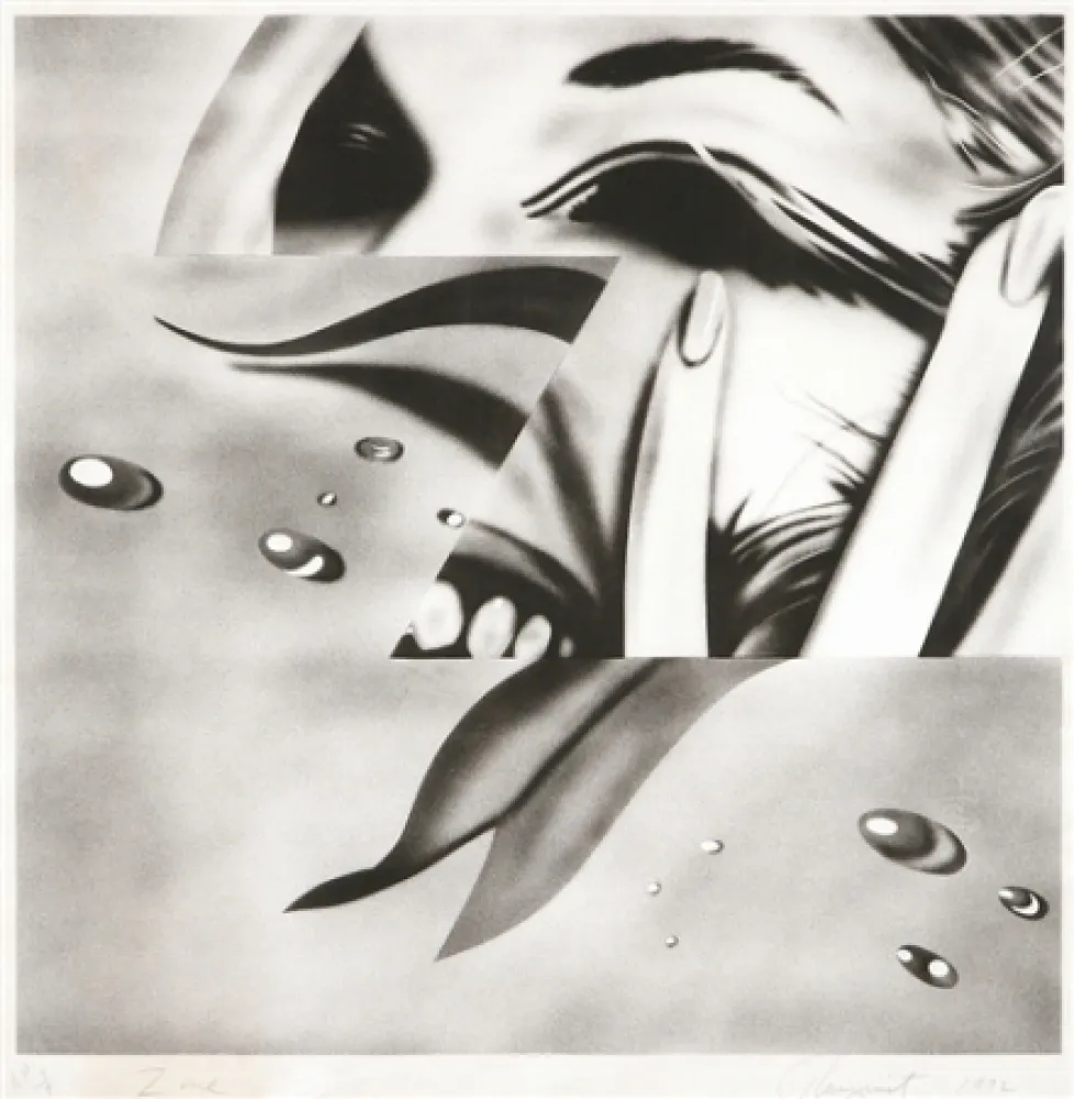 Литография Rosenquist - Zone
