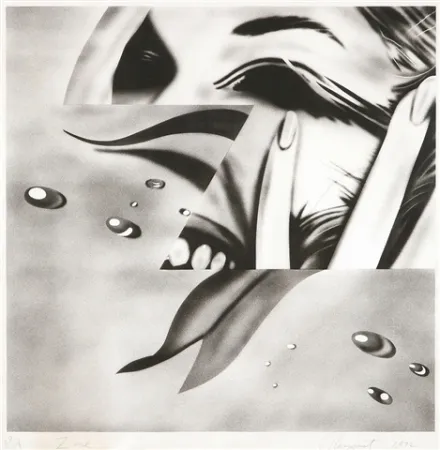 Литография Rosenquist - Zone