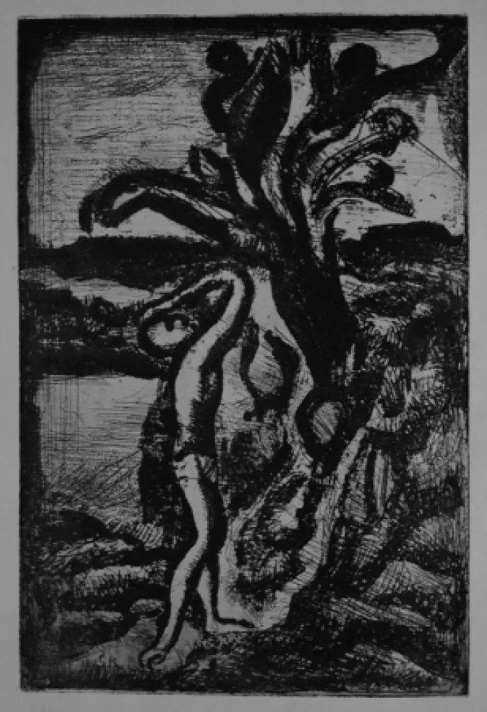 Офорт И Аквитанта Rouault - Réincarnations du Père Ubu:  frontispiece