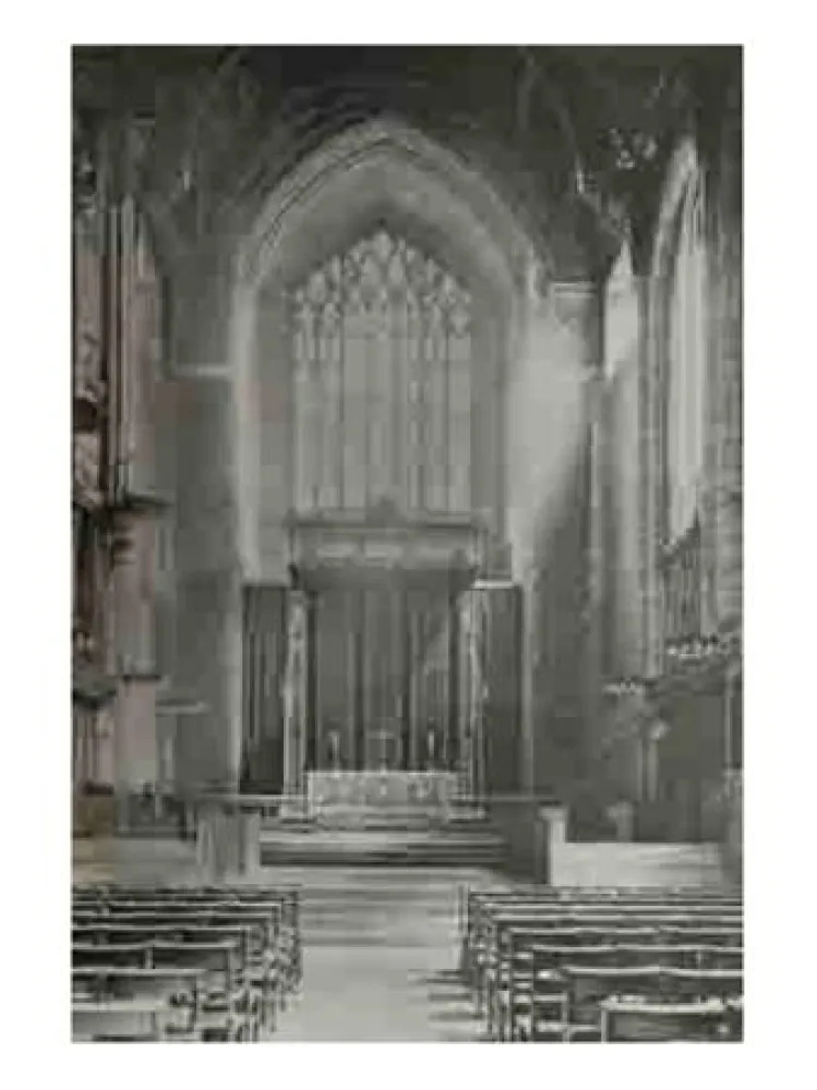 Многоэкземплярное Произведение Ruff - Jpegs 2006