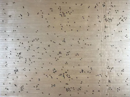 Сериграфия Ruscha - Black Ants from the Insects Portfolio