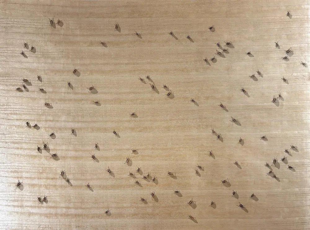 Сериграфия Ruscha - Cockroaches from the Insects Portfolio
