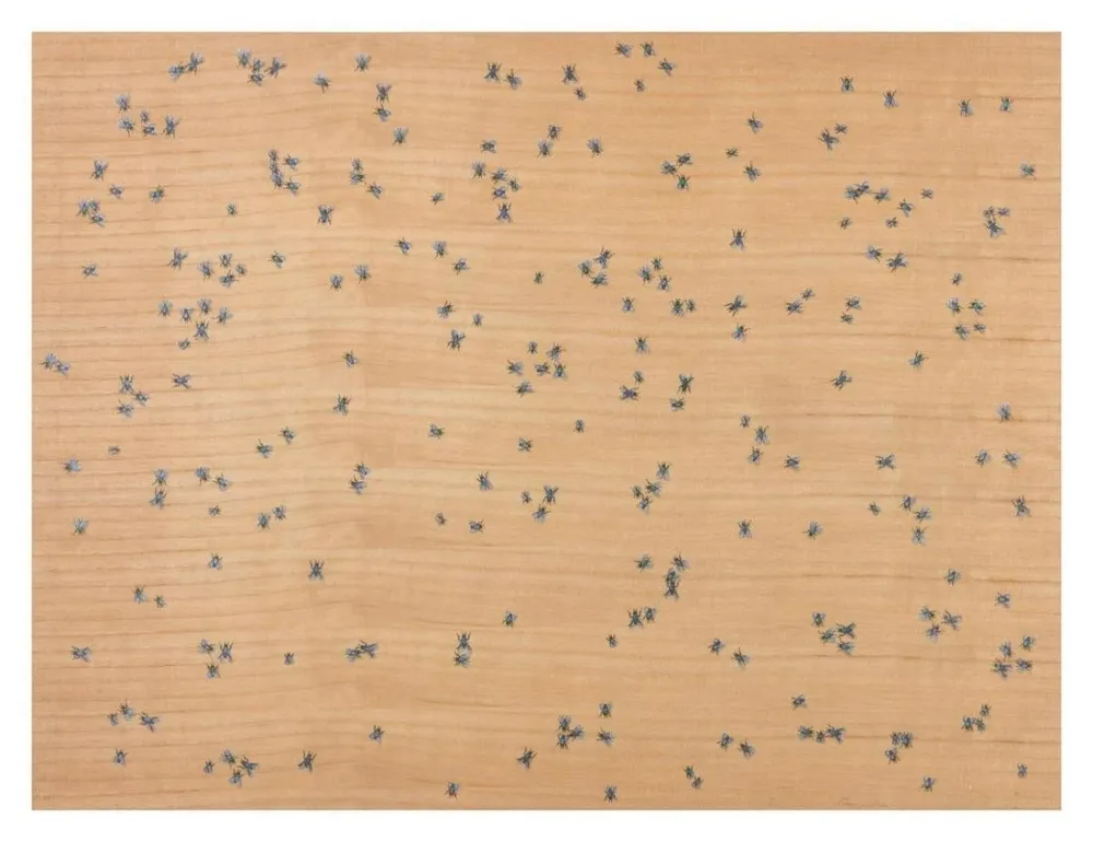 Многоэкземплярное Произведение Ruscha - Flies