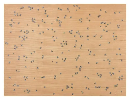 Многоэкземплярное Произведение Ruscha - Flies