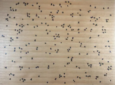 Сериграфия Ruscha - Flies from the Insects Portfolio
