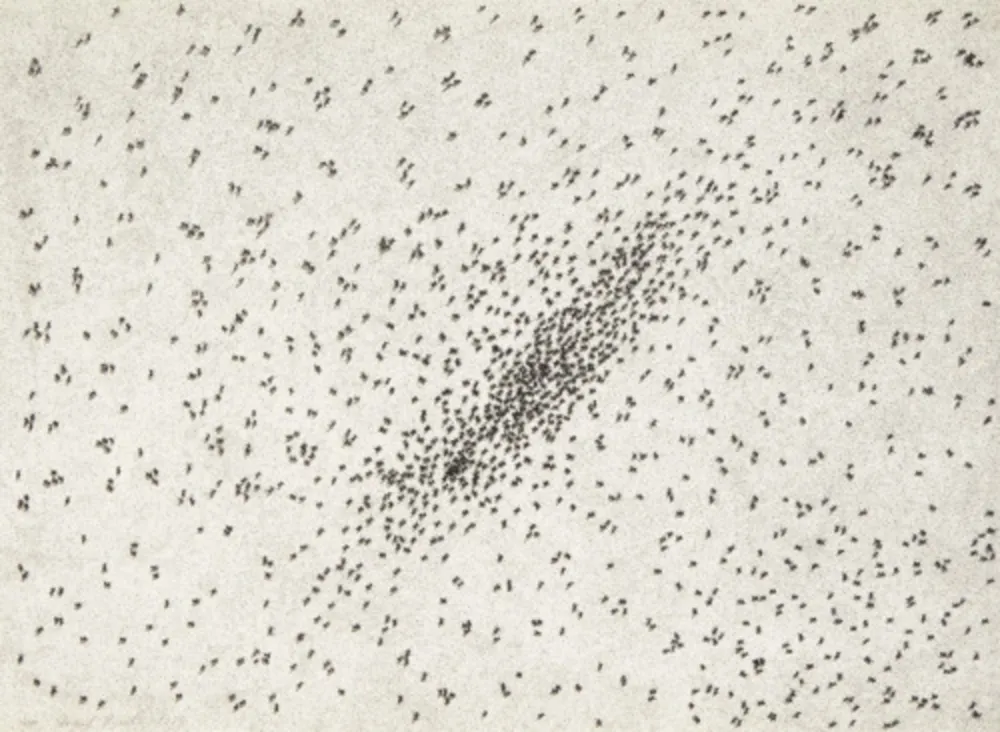 Многоэкземплярное Произведение Ruscha - Insect Slant (Ants) (from Reality & Paradoxes)