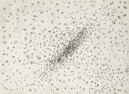 Многоэкземплярное Произведение Ruscha - Insect Slant (Ants) (from Reality & Paradoxes)