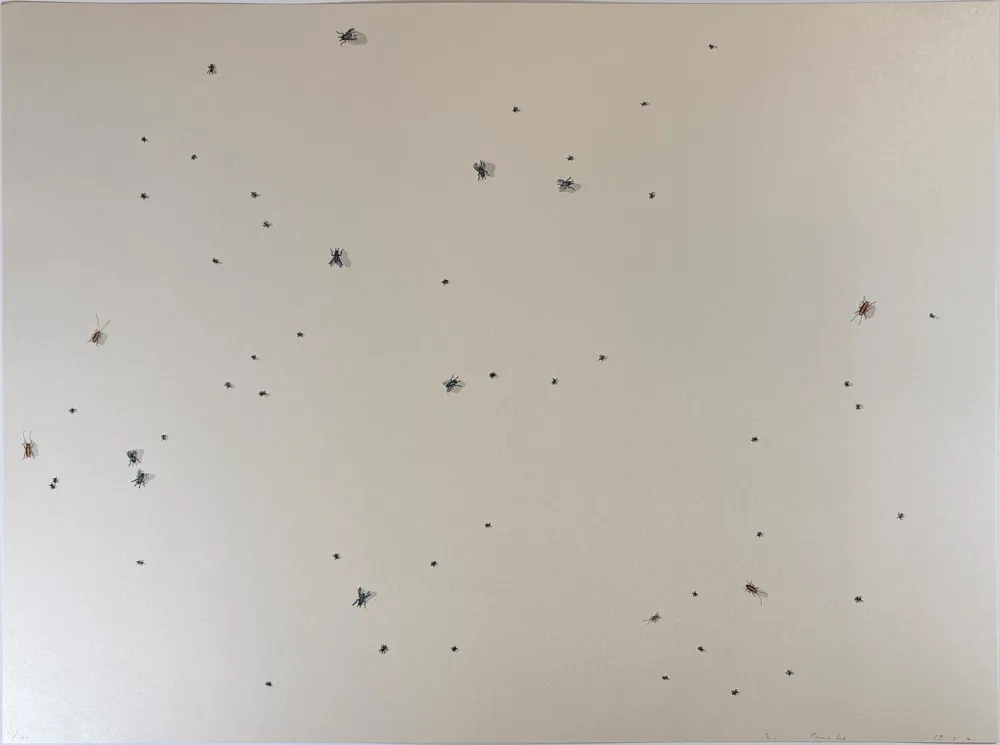 Сериграфия Ruscha - Pearl Dust Combination from the Insects Portfolio