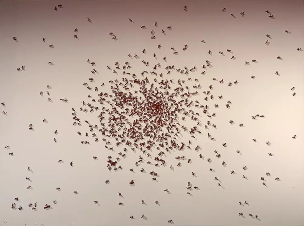 Сериграфия Ruscha - Swarm of Red Ants from the Insects Portfolio
