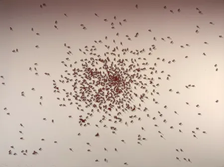 Сериграфия Ruscha - Swarm of Red Ants from the Insects Portfolio