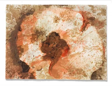 Гравюра Salinas - Hongo