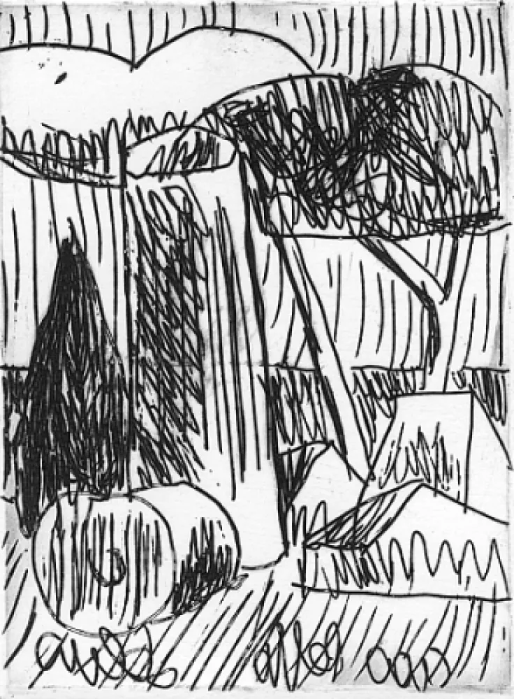 Иллюстрированная Книга Salvo - Nascere due volte