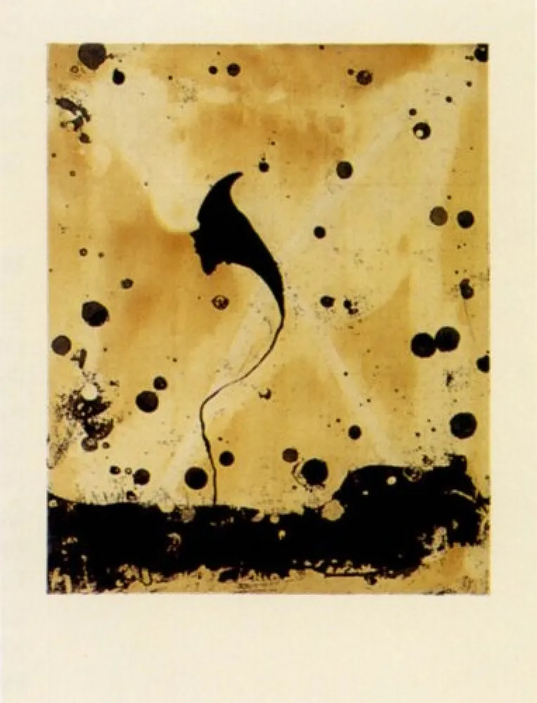 Гравюра Santibañez - Flor