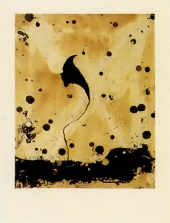 Гравюра Santibañez - Flor