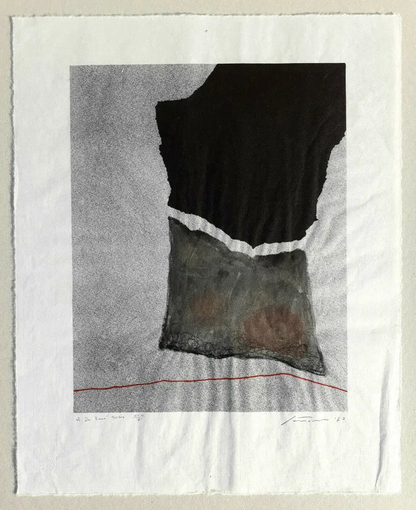 Литография Santomaso - Composizione