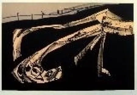 Литография Saura - Kafka 6