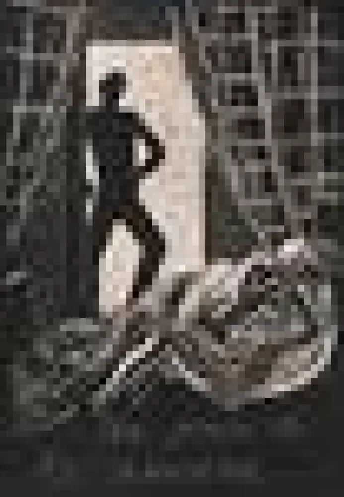 Иллюстрированная Книга Savin  - Sept vieilles chansons