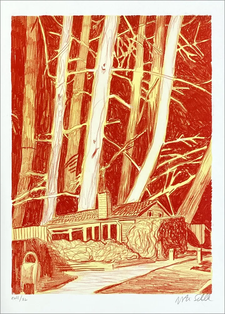 Литография Schelde - House in the woods