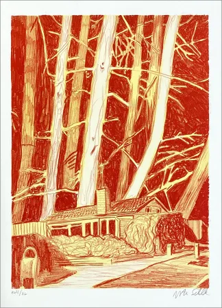 Литография Schelde - House in the woods