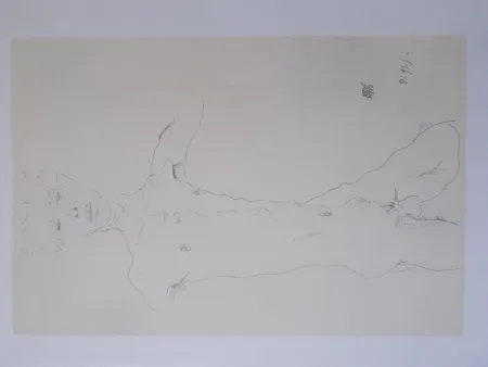 Литография Schiele - Standing male nude