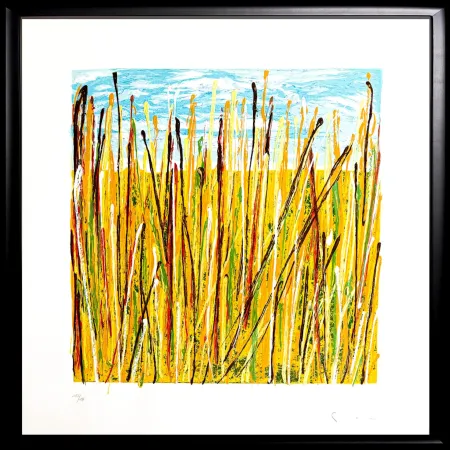 Сериграфия Schifano - Campo di grano