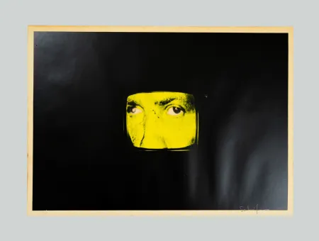 Сериграфия Schifano - Composizione